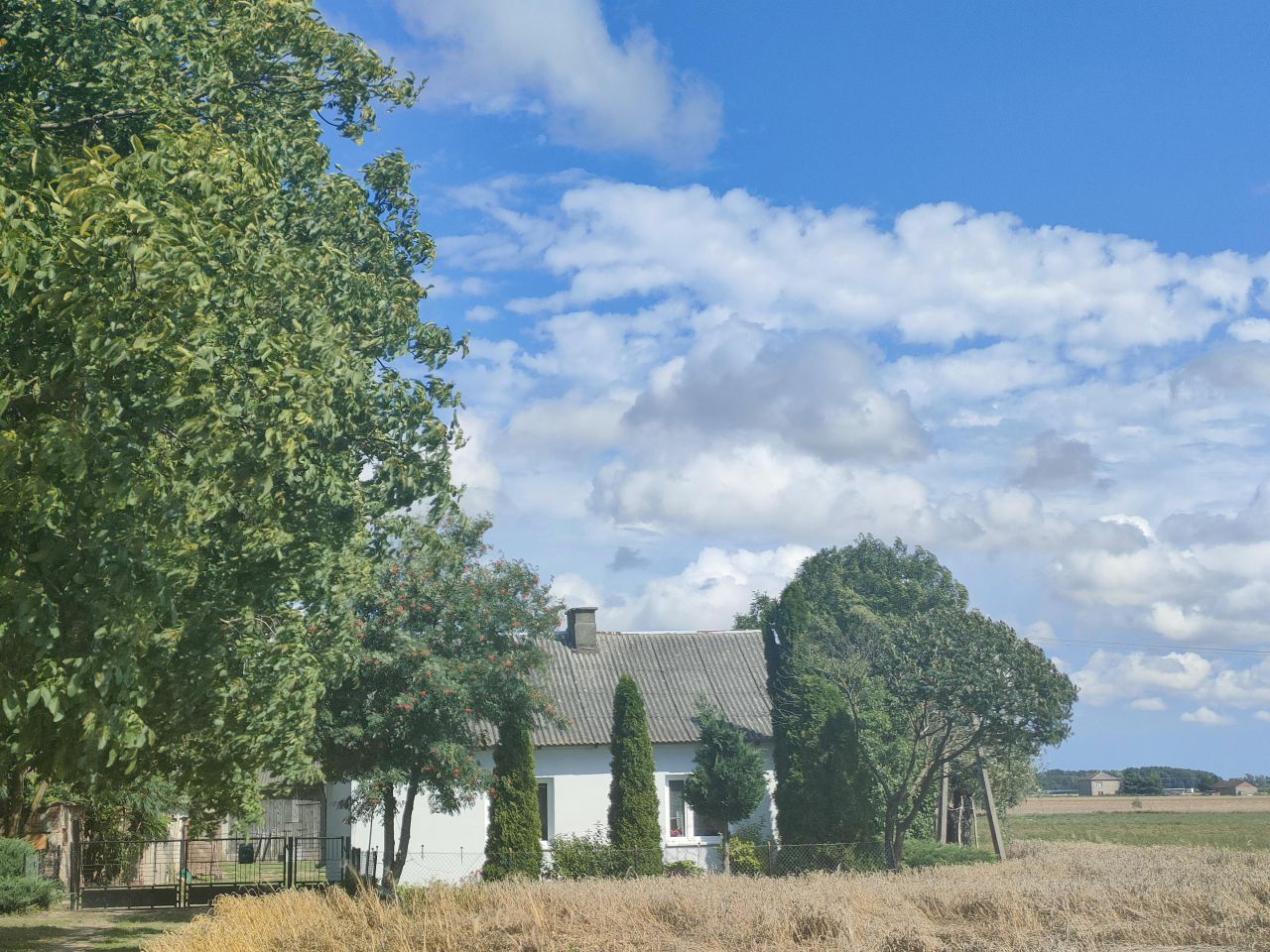 gospodarstwo, 2 pokoje Raszewo Włościańskie. Zdjęcie 4