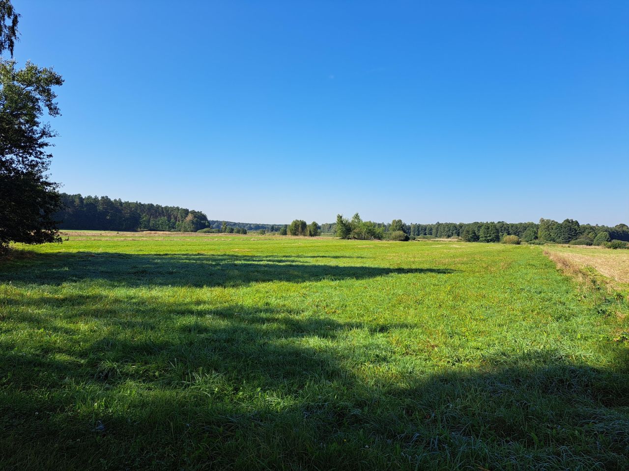 Działka budowlana Oksa Borek, ul. Modrzewiowa. Zdjęcie 2
