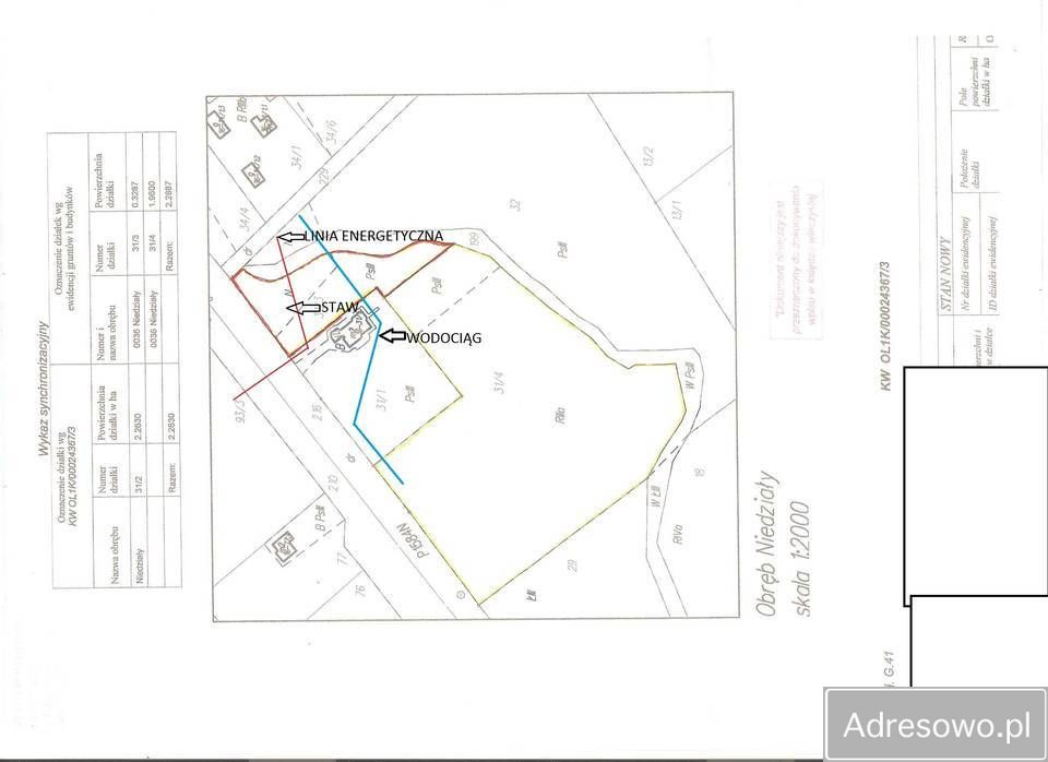 Działka rolna Niedziały. Zdjęcie 4