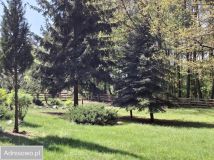 Działka Sierakówek. Zdjęcie 2