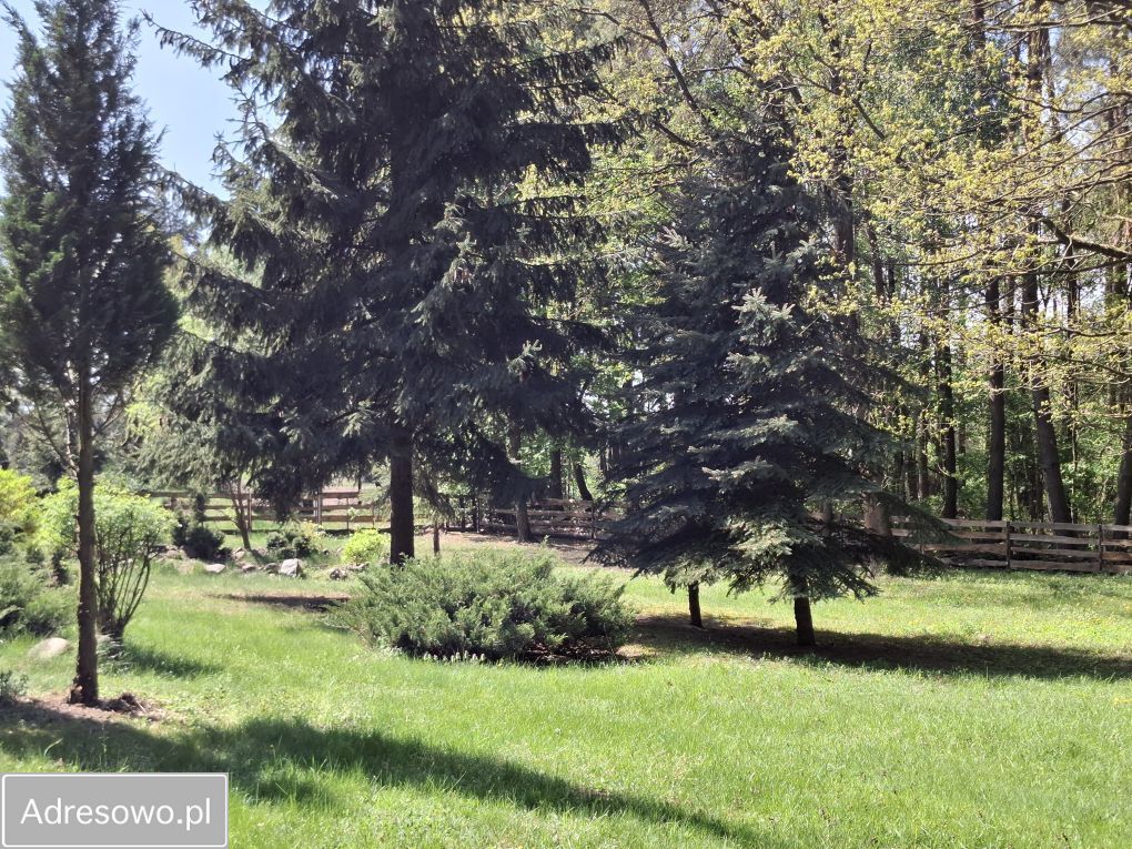 Działka Sierakówek. Zdjęcie 3