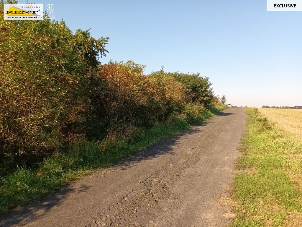 Działka budowlana Chabowo. Zdjęcie 6