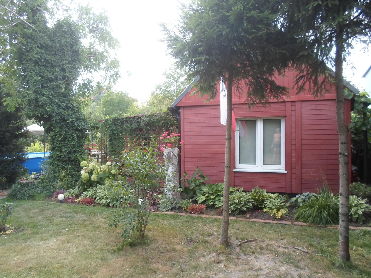 Działka rod Toruń Mokre, ul. Bolesława Chrobrego