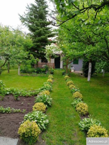 Działka rod Radom. Zdjęcie 1