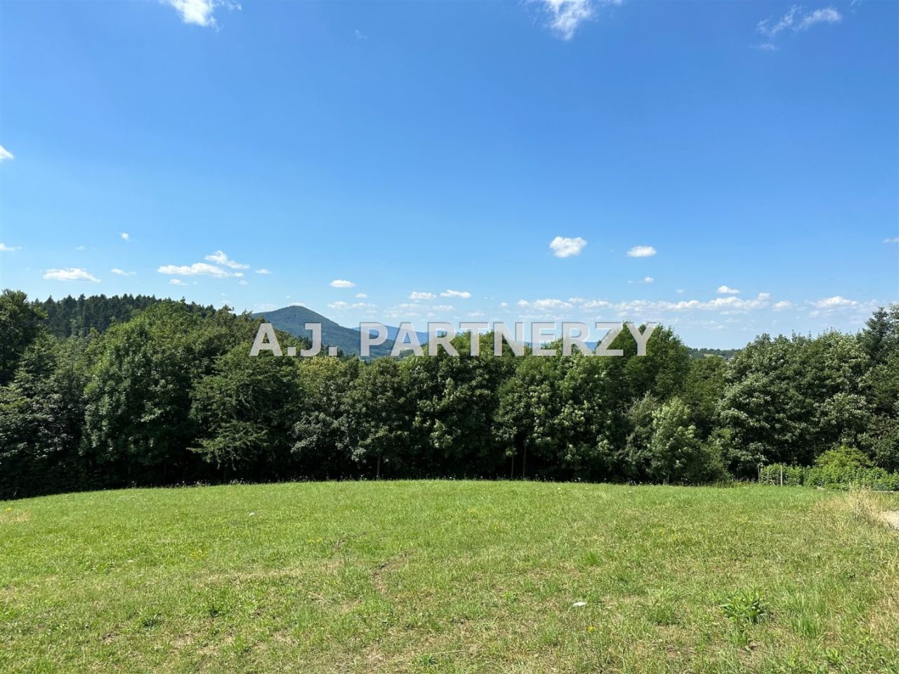 Działka Pasierbiec. Zdjęcie 6