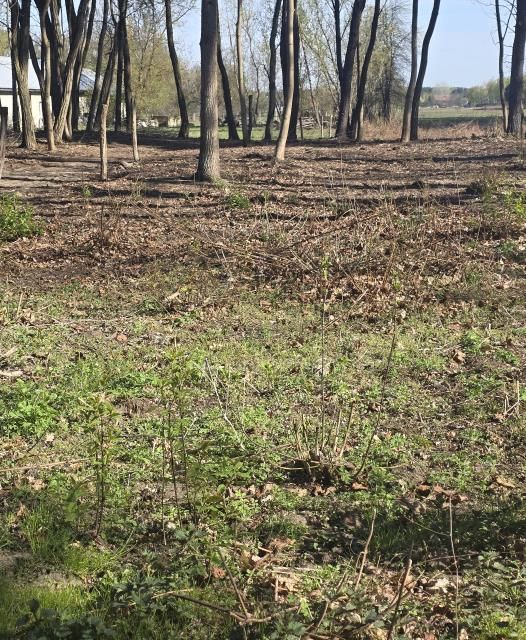 Działka budowlana Wołomin Mironowe Górki. Zdjęcie 8