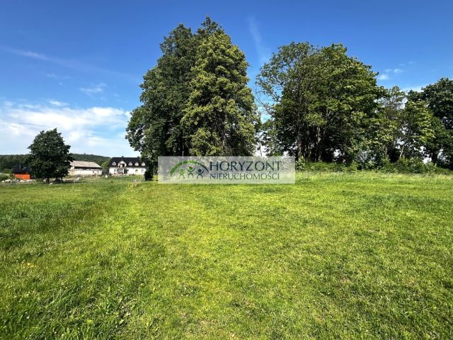 Działka Rybaki. Zdjęcie 7