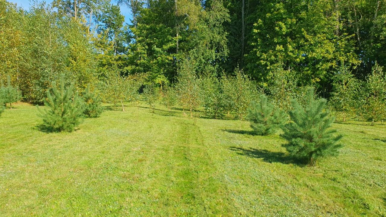 Działka budowlana Ostrowin. Zdjęcie 5