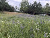 Działka rekreacyjna Brańszczyk Brańszczyk-Nakieł. Zdjęcie 2