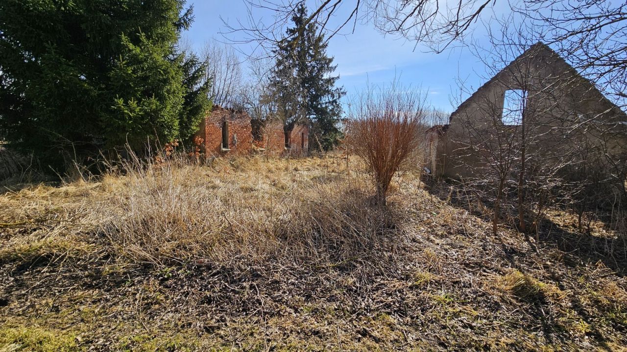 Działka rolno-budowlana Drozdowo. Zdjęcie 8