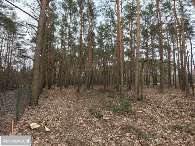 Działka budowlana Marianów, al. Jodłowa. Zdjęcie 1