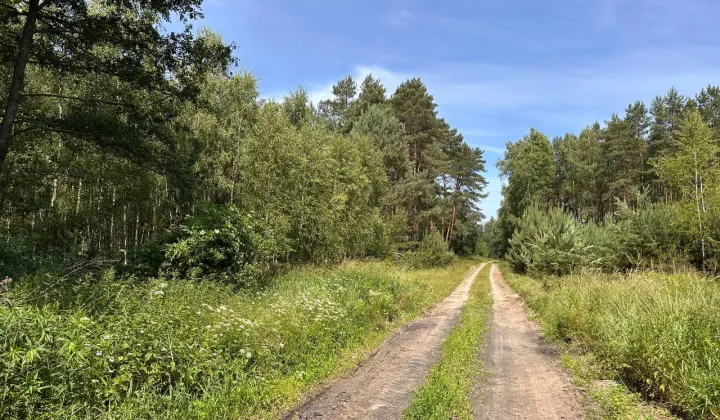 Działka rolna Trzebule