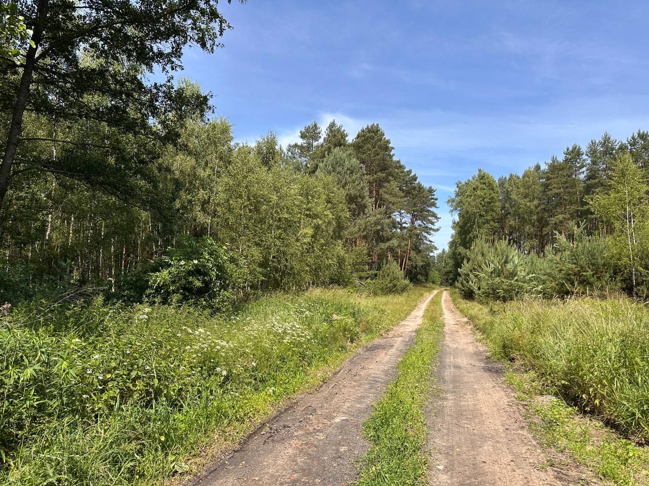 Działka rolna Trzebule. Zdjęcie 1