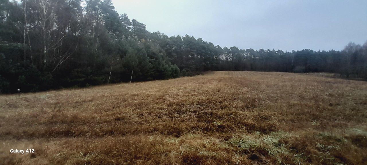 Działka rolna Martew. Zdjęcie 3