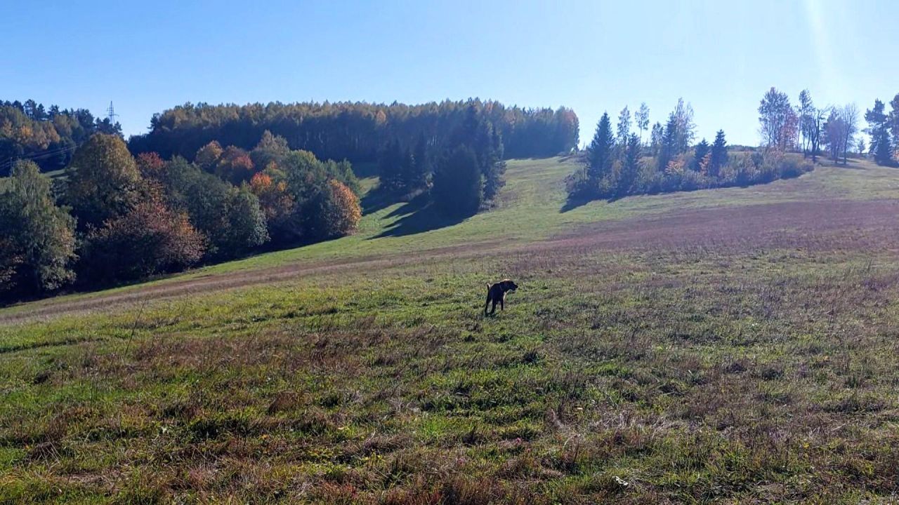 Działka siedliskowa Górzanka