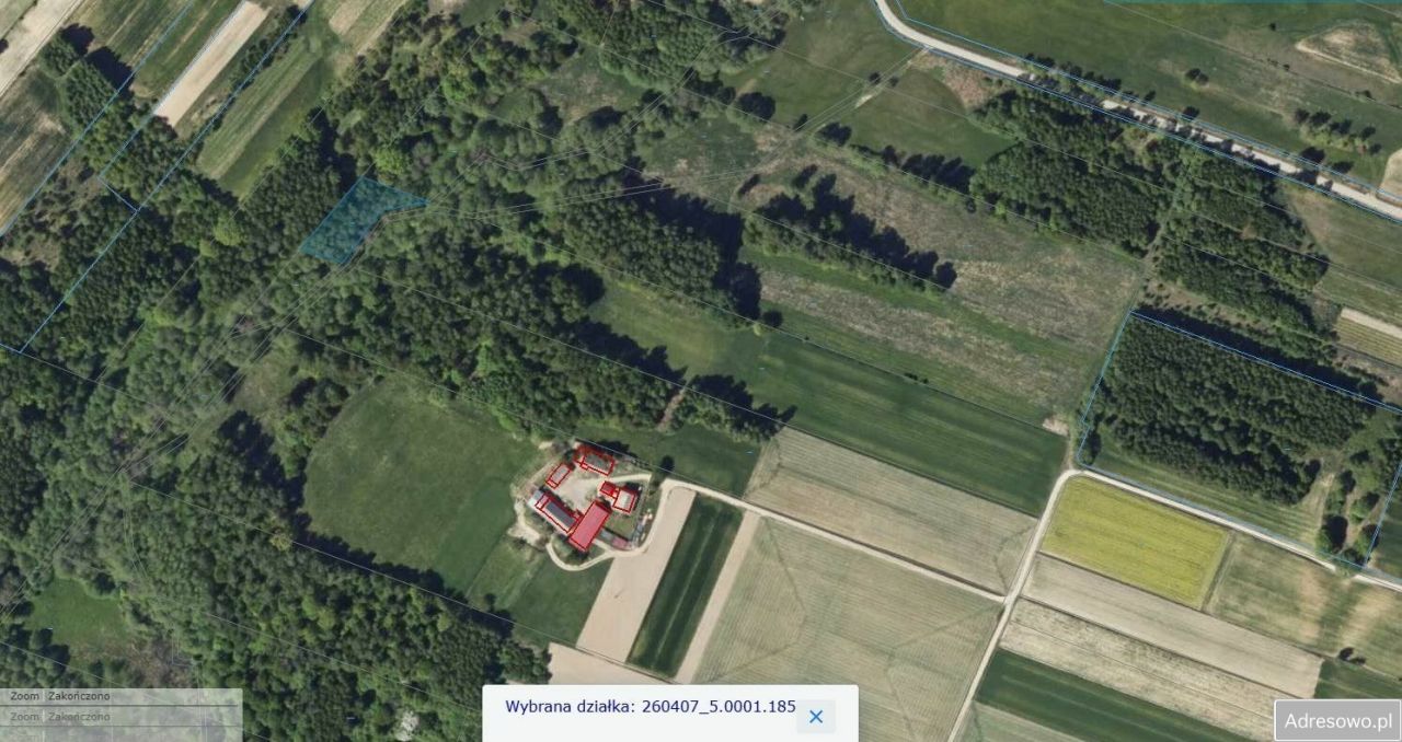 Działka rolna Czyżów. Zdjęcie 4