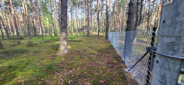 Działka leśna Popowo-Letnisko, al. Kamienna. Zdjęcie 1