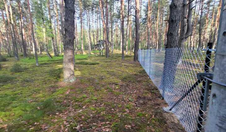 Działka leśna Popowo-Letnisko, al. Kamienna