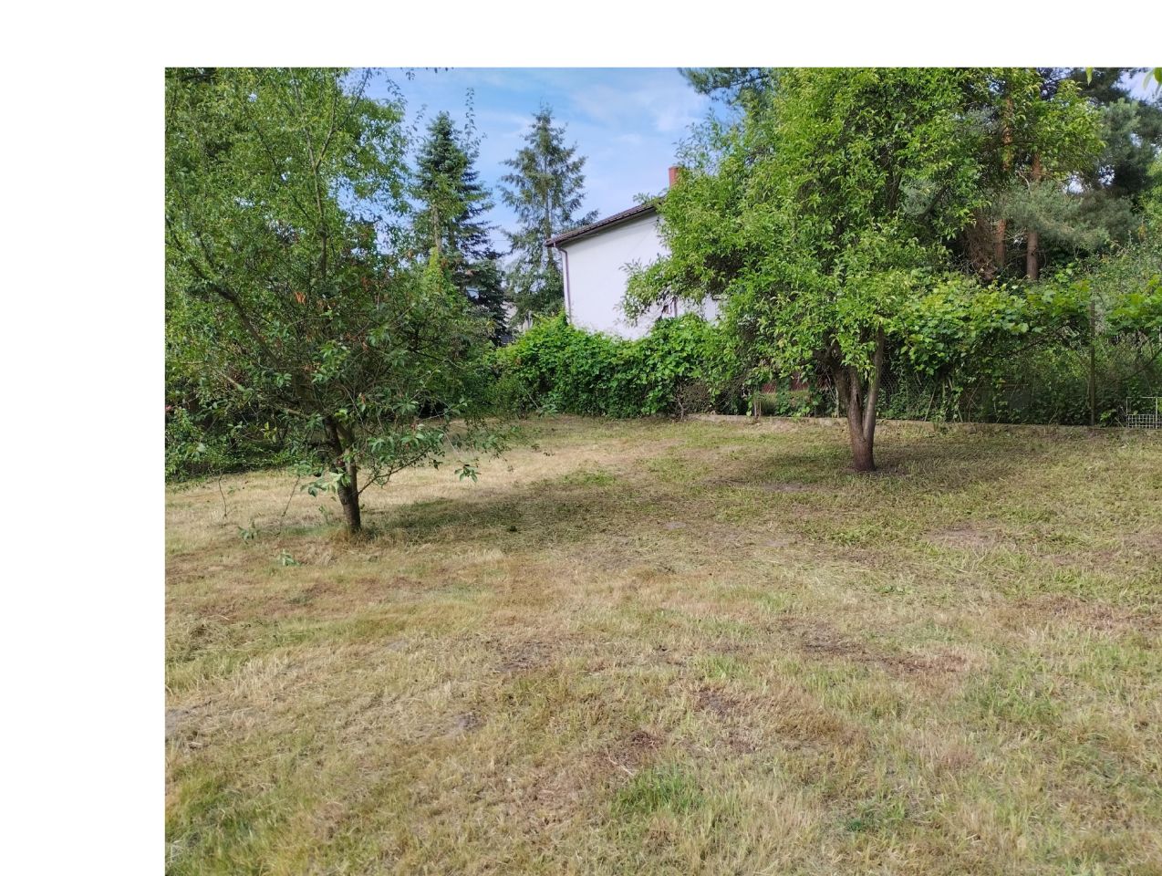 Działka budowlana Milanówek, ul. Lipowa