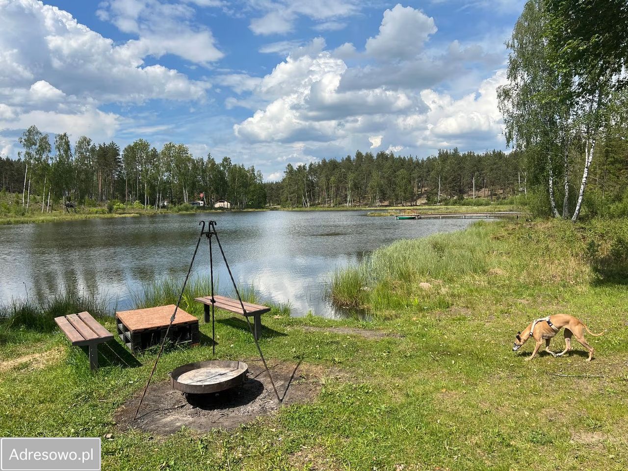 dom wolnostojący, 10 pokoi Tuszkowy. Zdjęcie 10