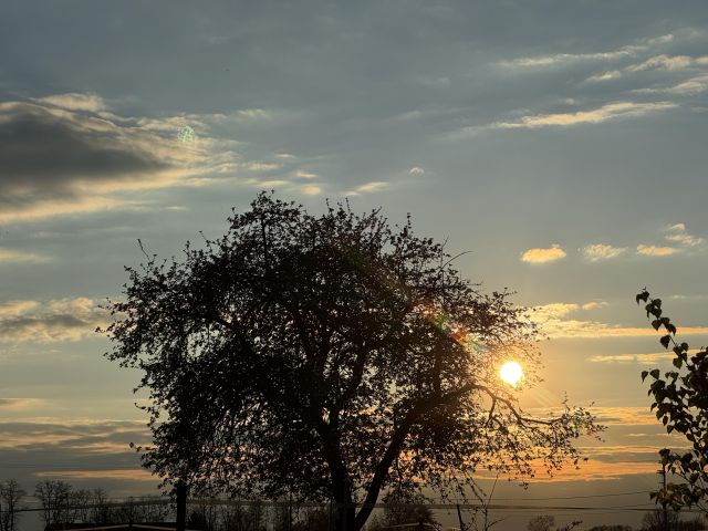 siedlisko, 10 pokoi Sobiesęki Pierwsze Wesółka, Sobiesęki Pierwsze. Zdjęcie 15