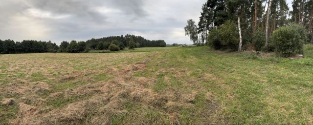 Działka rolna Złotowo. Zdjęcie 1