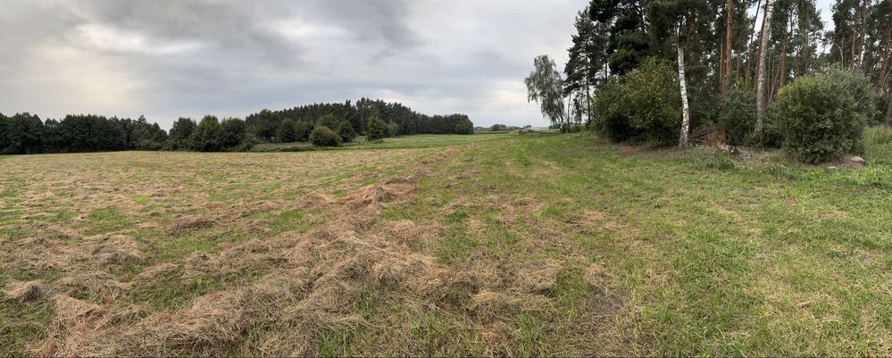Działka rolna Złotowo. Zdjęcie 1