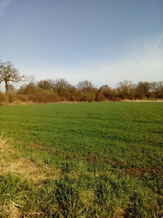 Działka rolna Wrocław Świniary. Zdjęcie 3