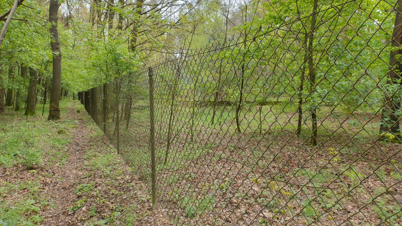 Działka budowlana Zofiówka, ul. Kolorowa. Zdjęcie 19