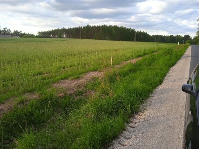 Działka budowlana Witkowo. Zdjęcie 1