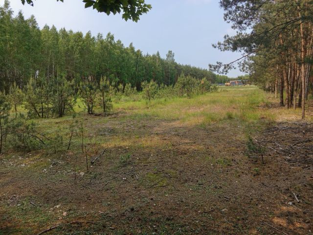 Działka budowlana Szczerby. Zdjęcie 1