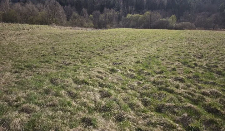 Działka rolna Włosań, ul. Kamienna