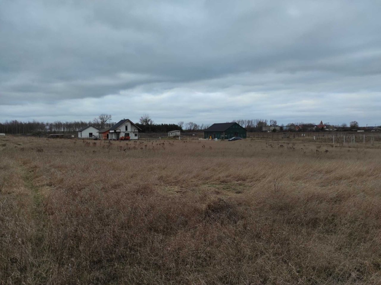 Działka budowlana Laski Lubuskie. Zdjęcie 5