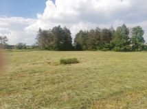 Działka rolna Szczudłów. Zdjęcie 2