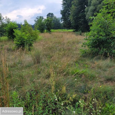 Działka rolna Żanęcin, ul. Spokojna. Zdjęcie 1