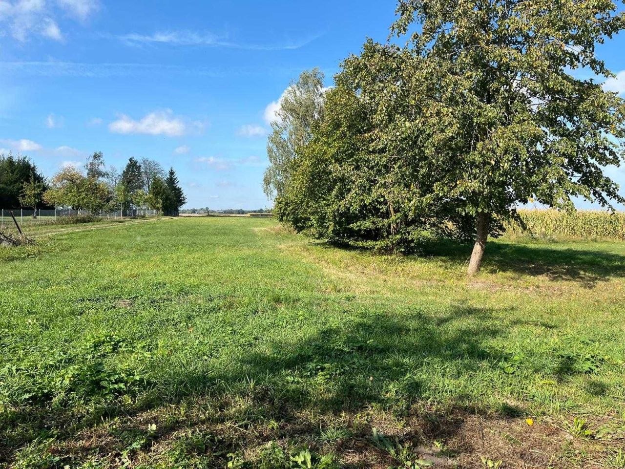 gospodarstwo Stare Berezowo. Zdjęcie 5