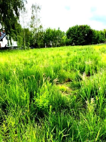 Działka budowlana Stara Wieś. Zdjęcie 2