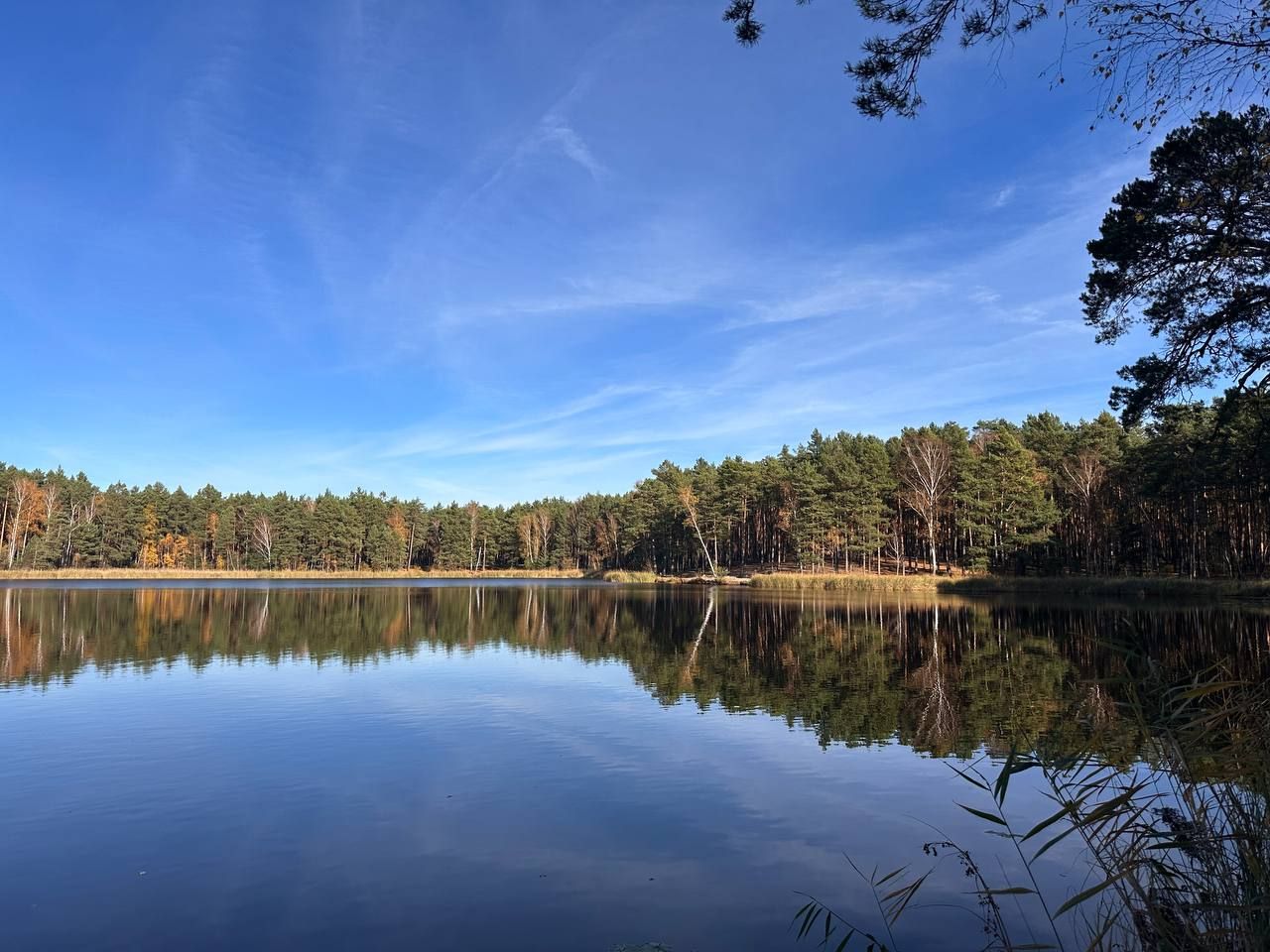 Działka budowlana Chełmica. Zdjęcie 6