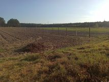 Działka siedliskowa Dobryń Duży. Zdjęcie 4