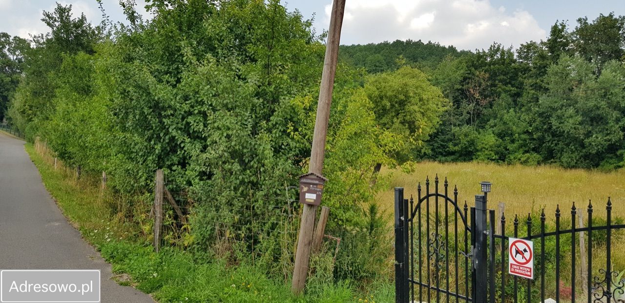 Działka budowlana Świny. Zdjęcie 18