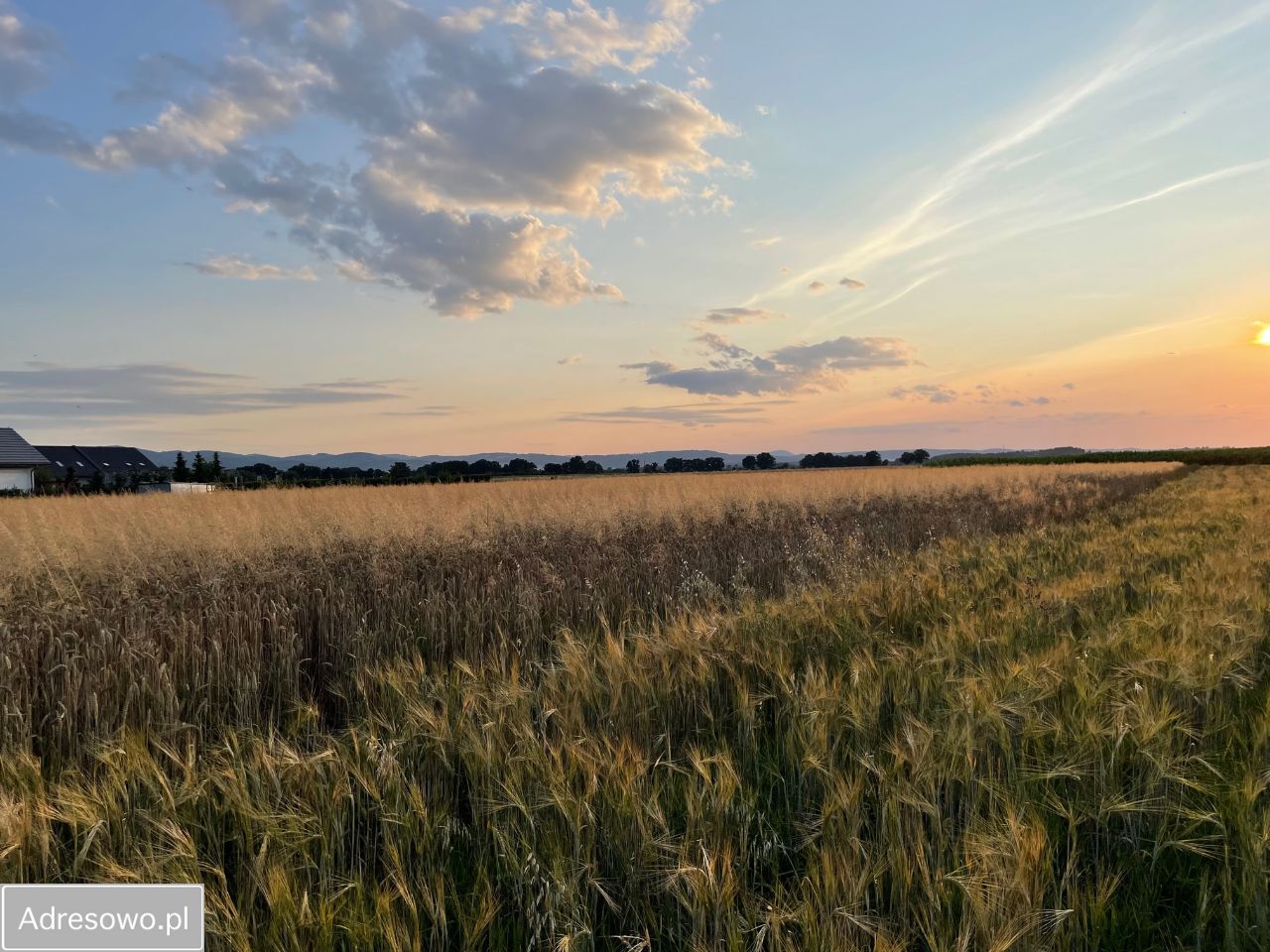 Działka rolno-budowlana Włóki. Zdjęcie 8