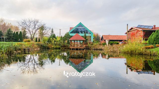 Działka siedliskowa Stary Dzierzgoń. Zdjęcie 2