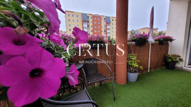 Mieszkanie 2-pokojowe Gorzów Wielkopolski Górczyn, ul. Obrońców Pokoju. Zdjęcie 2