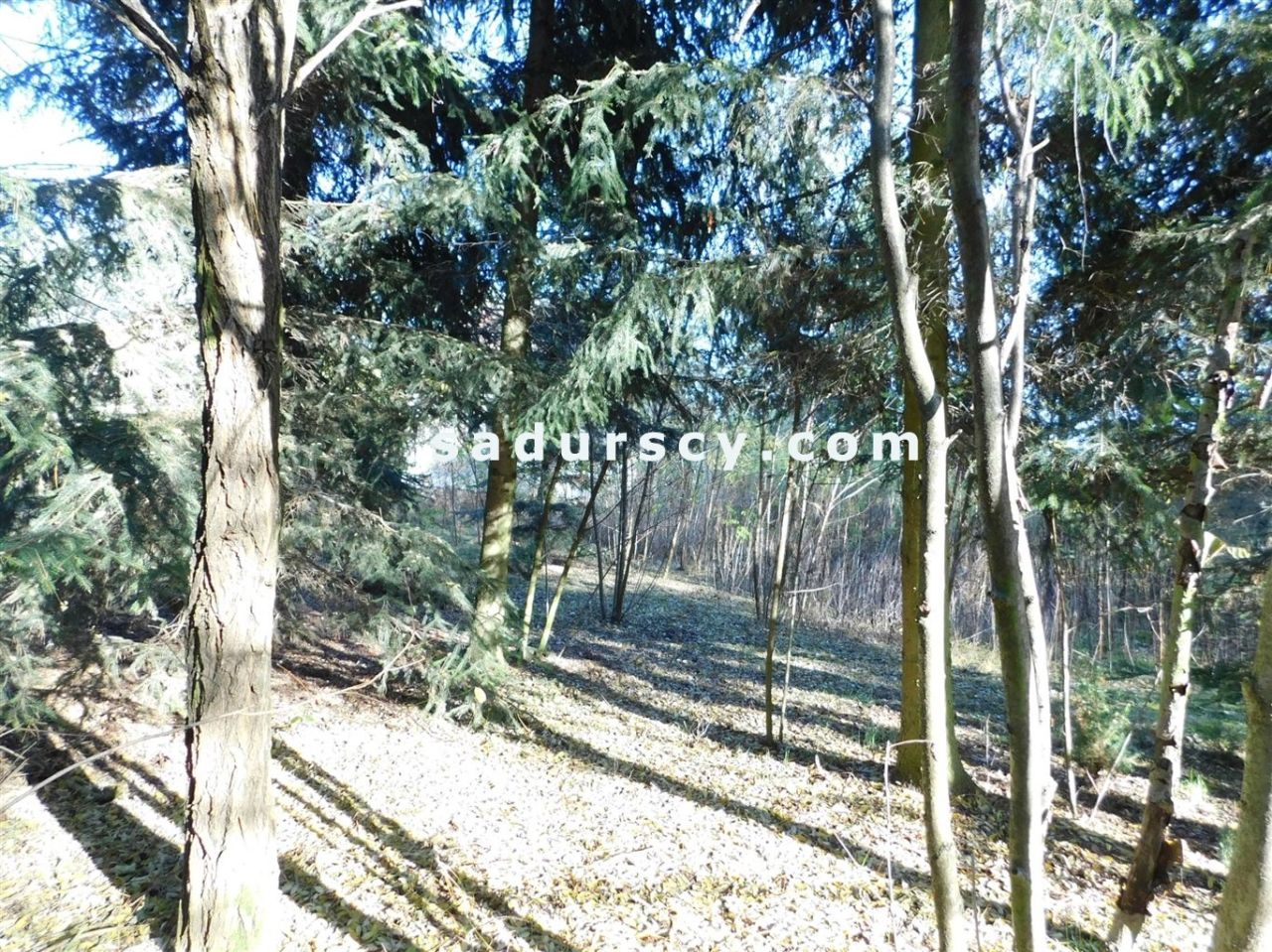 Działka budowlana Biały Ług. Zdjęcie 15