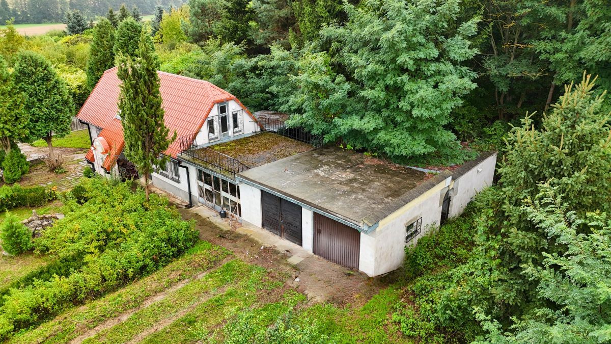 Działka rolna Zochcinek. Zdjęcie 5