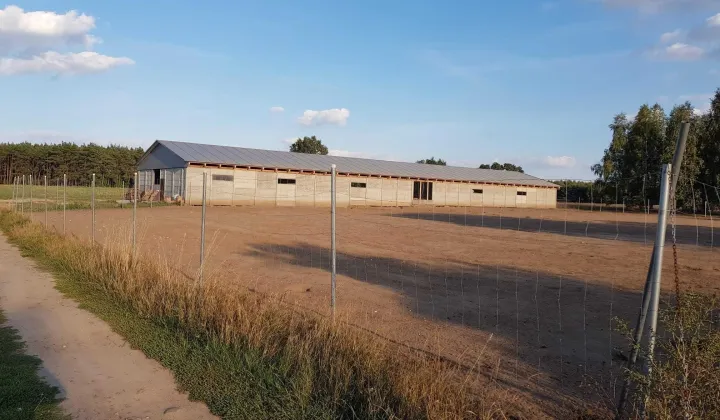 Nieruchomość komercyjna Poddębice
