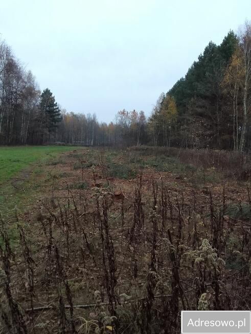 Działka rekreacyjna Sędziszów Małopolski, ul. Poręby