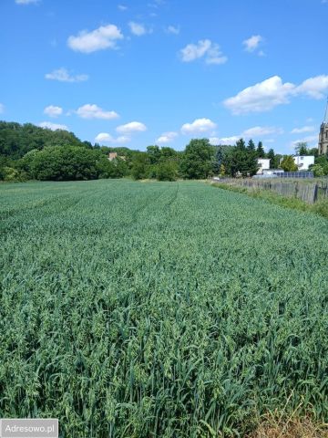 Działka rolno-budowlana Gorzów Wielkopolski Wieprzyce, ul. Kostrzyńska. Zdjęcie 1