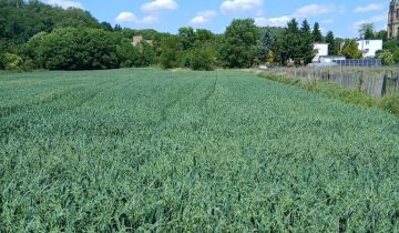 Działka rolno-budowlana Gorzów Wielkopolski Wieprzyce, ul. Kostrzyńska