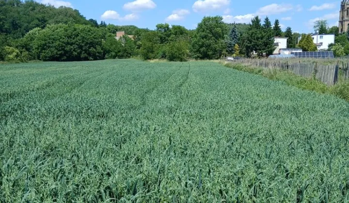 Działka rolno-budowlana Gorzów Wielkopolski Wieprzyce, ul. Kostrzyńska